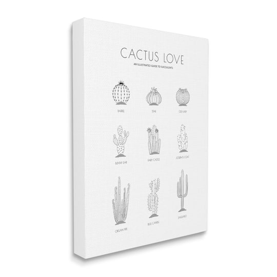 Stupell Industries Illustrated Guide to Succulents Minimal Modern Cactus Plant Canvas Wall Art
